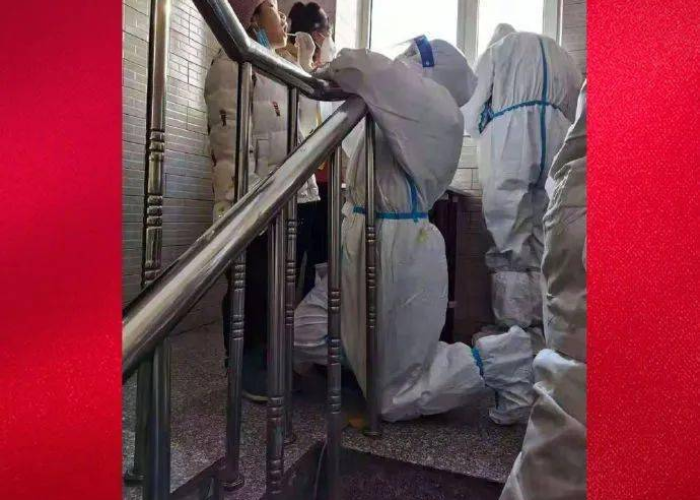 疫情中一些感人的故事（疫情中感人至深的故事）