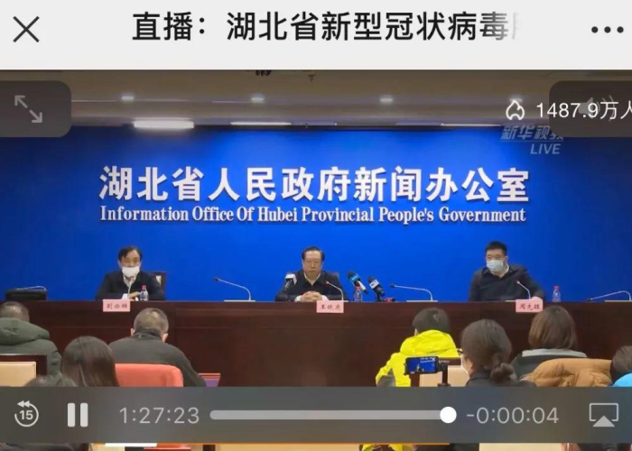 湖北疫情处罚官员（新冠疫情湖北省受处理人员）