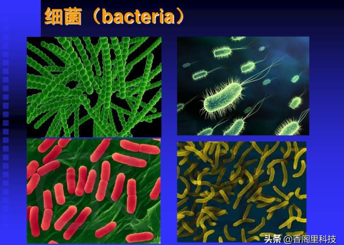 疫情结束回家发朋友圈的句子（疫情回家了说说）