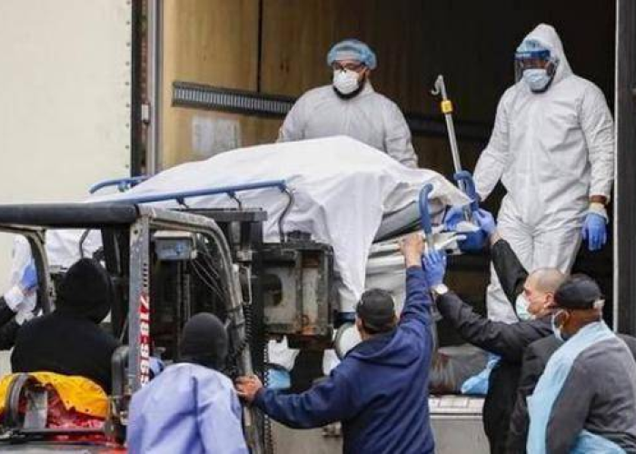 三年疫情美国死了多少人（从疫情开始美国死了多少人）