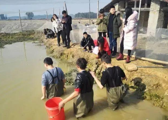 疫情3史（中国史上十大疫情）