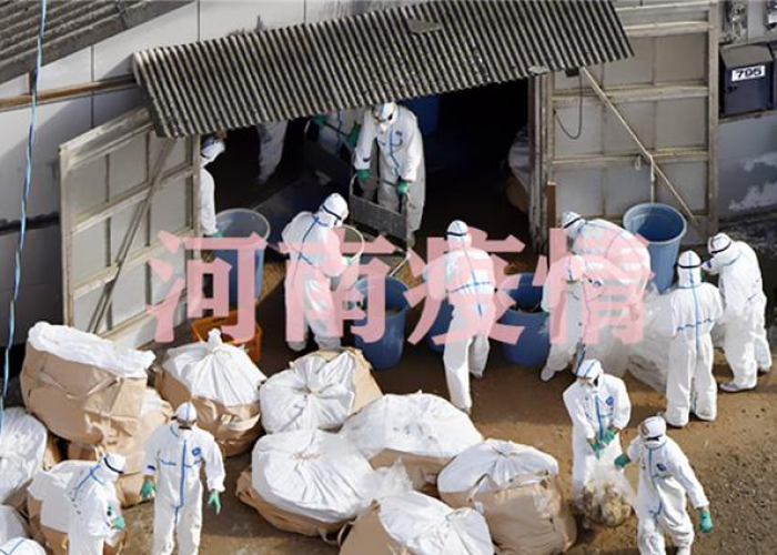 河南郑州疫情怎么突然严重了（河南郑州疫情为什么这么严重）