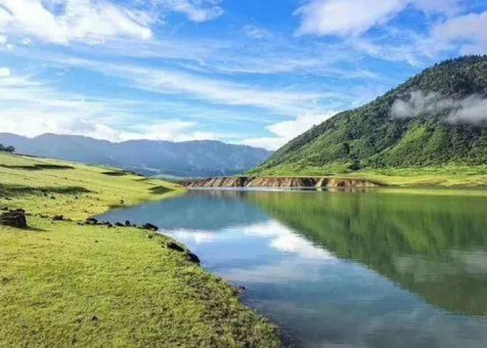 成都疫情高额停车费怎么办（疫情 停车费）
