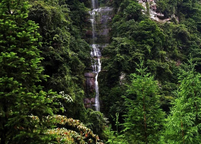 成都疫情高额停车费怎么办（疫情 停车费）
