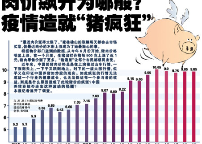 疫情背后到底是什么（疫情到底是因为什么引起的）