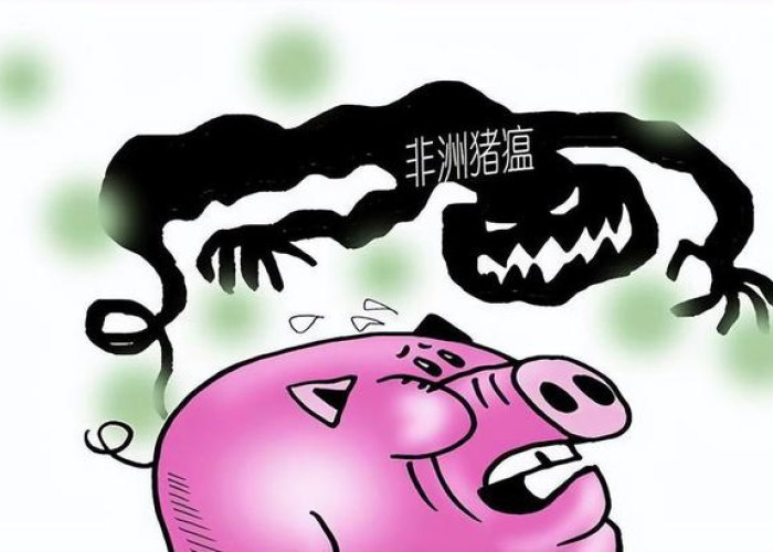 疫情是什么时间开始（疫情是什么时候开始的啊）