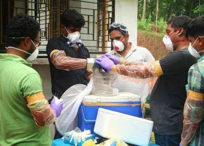 疫情三年全世界死了多少人（疫情至今全世界死了多少人）