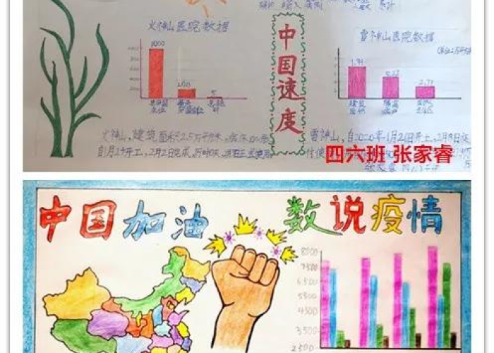 新冠疫情小知识的小报（新冠疫情小知识手抄报）