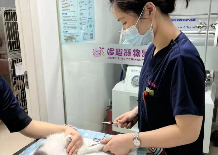 疫情期间需要准备什么东西去医院（疫情期间去医院需要带什么）