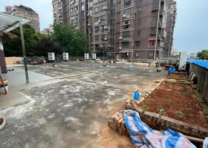 疫情防控全面解封（全面解封的条件）