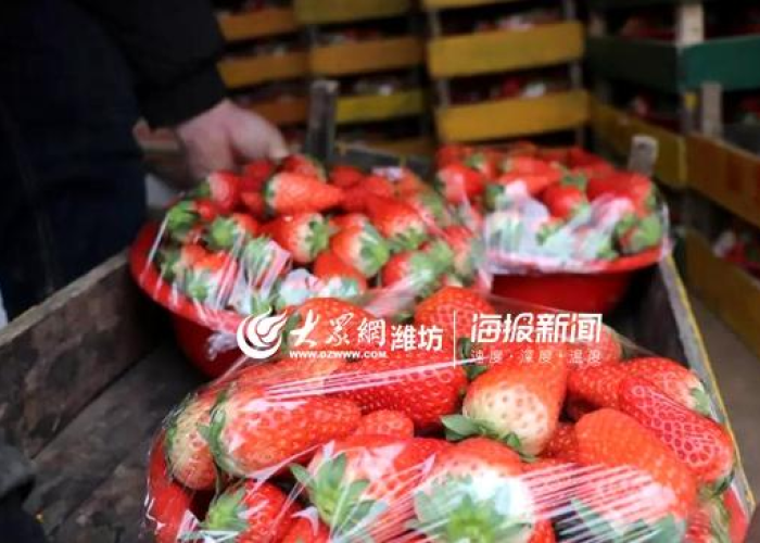 疫情时期大家需要什么东西（疫情期间需要什么物质）