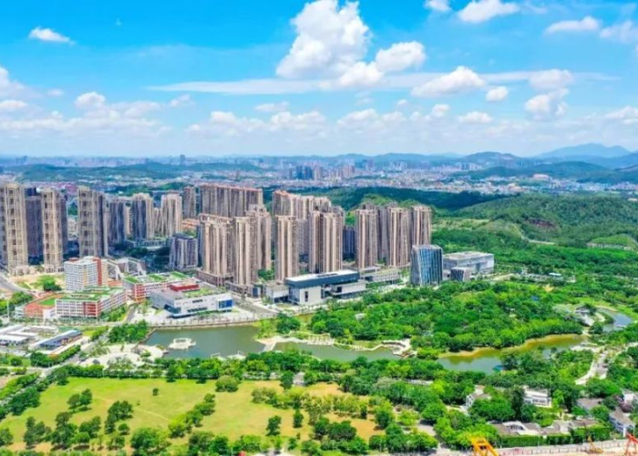 深圳布吉东心岭疫情怎么引起的啊（布吉一村东新岭）