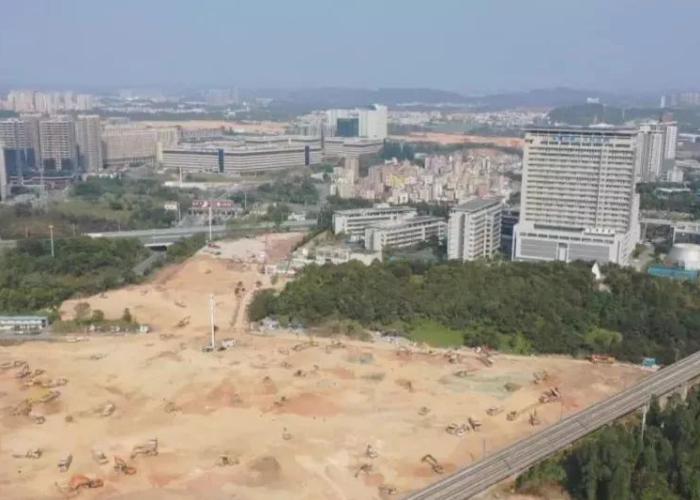 深圳布吉东心岭疫情怎么引起的啊（布吉一村东新岭）