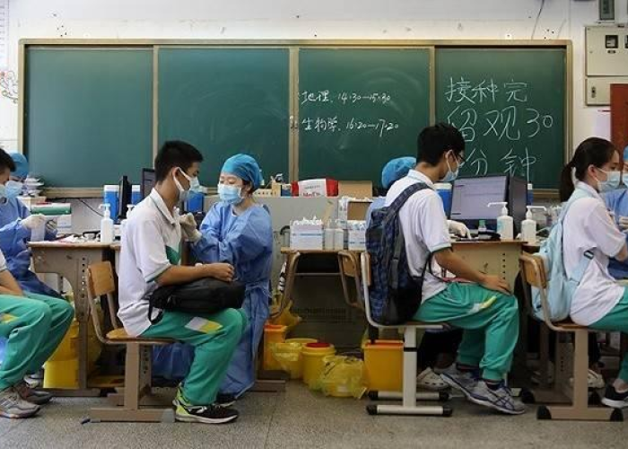 最新疫情报告发布今天的新闻（最新疫情相关新闻报道及动态）