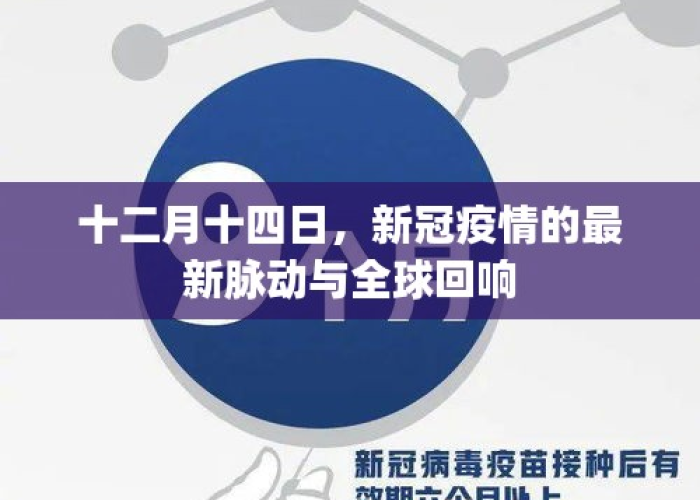 新冠疫情是12月几号开始的（新冠疫情几月几号开始）