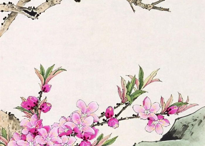 疫情期间我们在家可以做些什么（疫情我们在家能做什么）