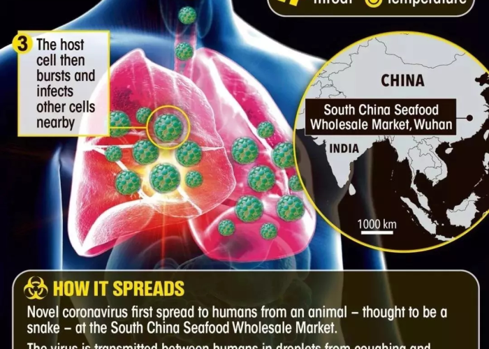 新型冠状病毒疫情英语介绍怎么写（新型冠状病毒肺炎疫情的英语）