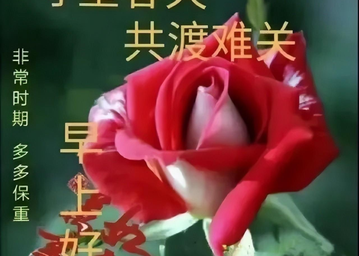 疫情抖音视频最火（抗击疫情抖音短视频）