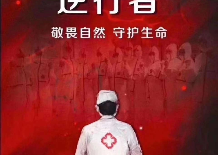 怀念疫情前的旅途（怀念疫情前的日子作文600字）
