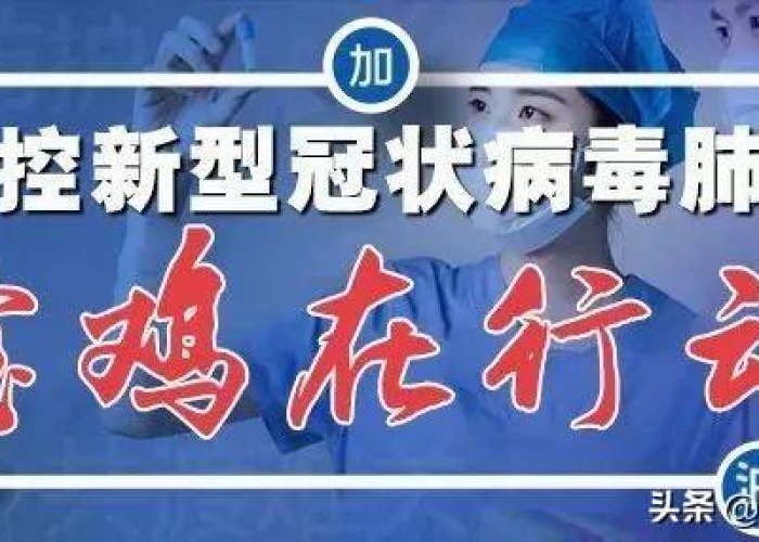 疫情突然来临时的音乐（疫情期间好听的音乐）