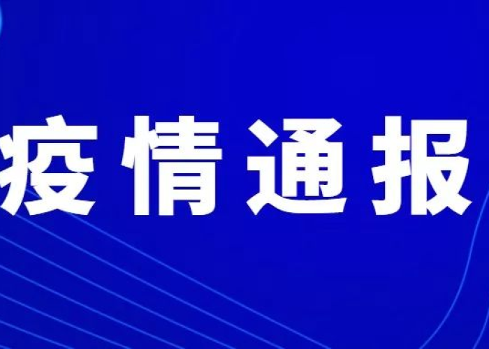 新冠疫情3年回顾（新冠肺炎疫情回顾）