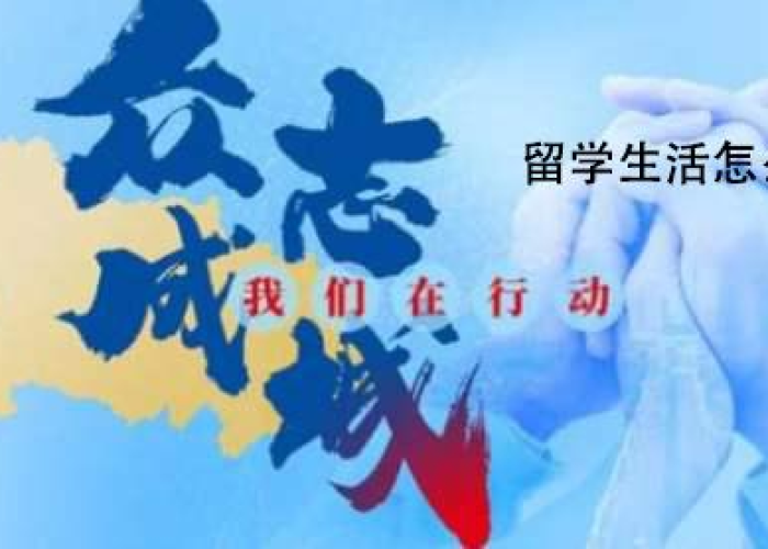 在疫情期间我们要干什么呢（疫情期间我们应该干嘛）