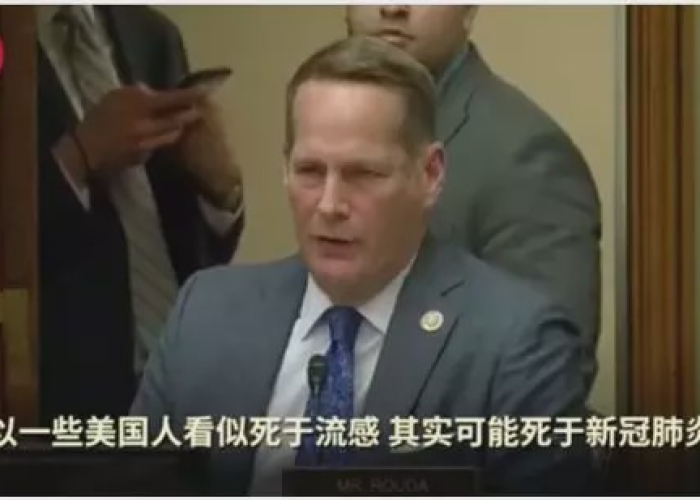 新冠疫情来由（新冠疫情的始源）