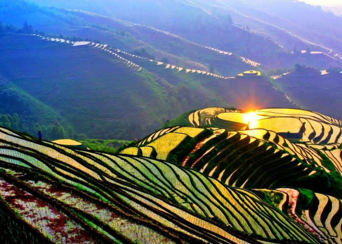 官方宣布疫情结束了吗（疫情是否已经结束）