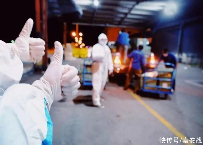 2002中国疫情回顾全过程视频（2020年中国疫情回忆视频）