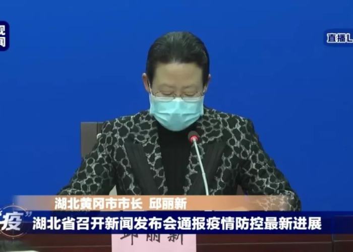 疫情湖北被处理官员名单（湖北疫情被处分的官员）