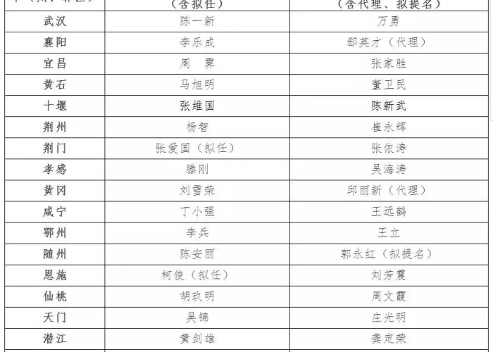 疫情湖北被处理官员名单（湖北疫情被处分的官员）