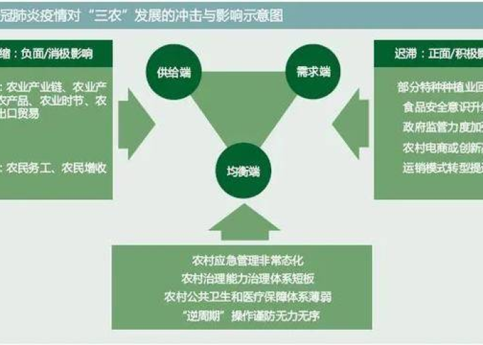 新冠肺炎疫情发展全过程（新冠疫情发展概括）