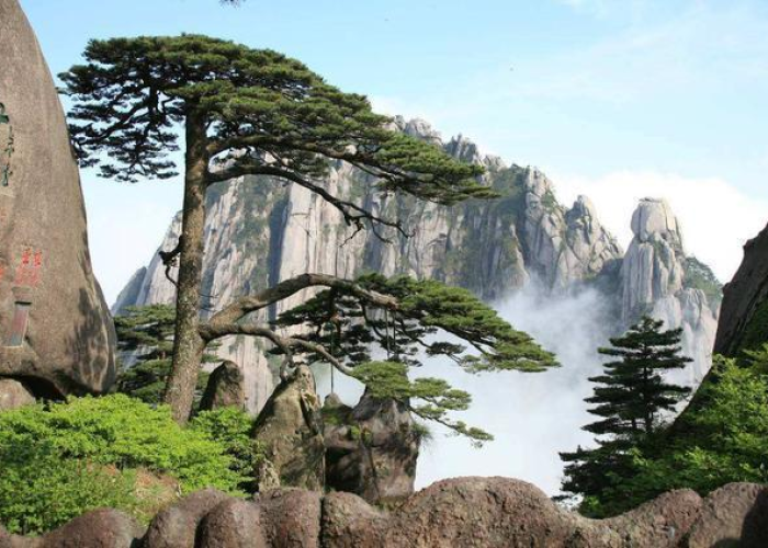 疫情之后开放旅游的城市（疫情开放的景点）