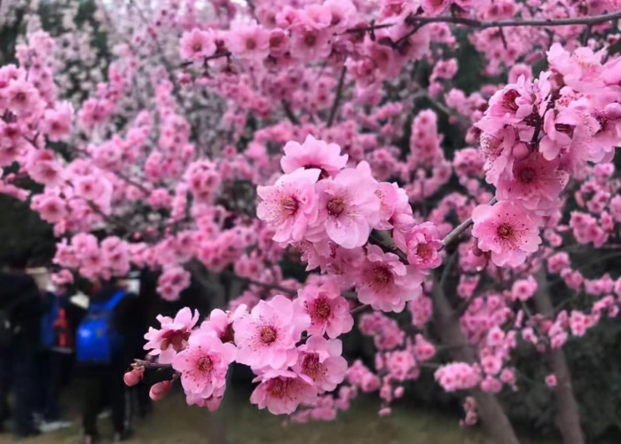 郑州疫情到底什么时候结束（郑州疫情到底什么时候结束啊）