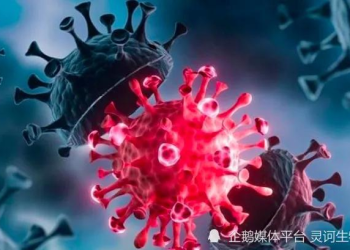 新冠疫情作文精彩结尾（新冠疫情作文精彩结尾怎么写）