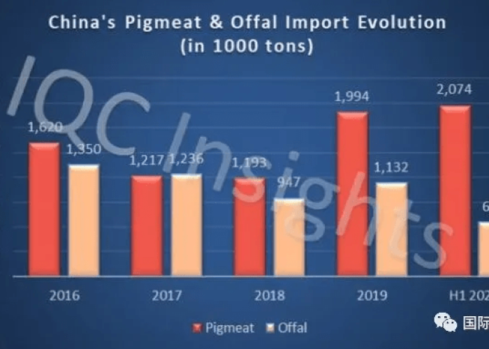 我国新冠疫情开始的时间（中国的新冠疫情是什么时候开始的）