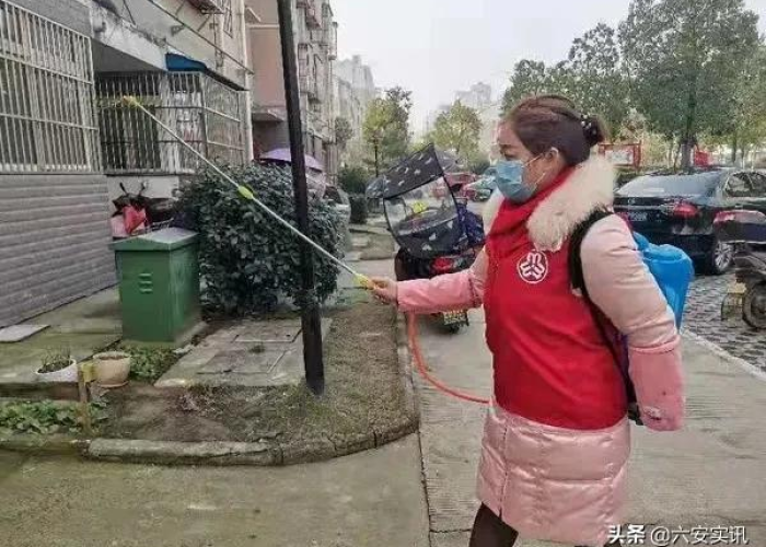 疫情最后扑灭（疫情最后的结局）