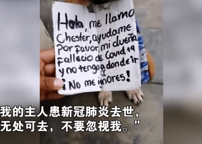 疫情最后扑灭（疫情最后的结局）
