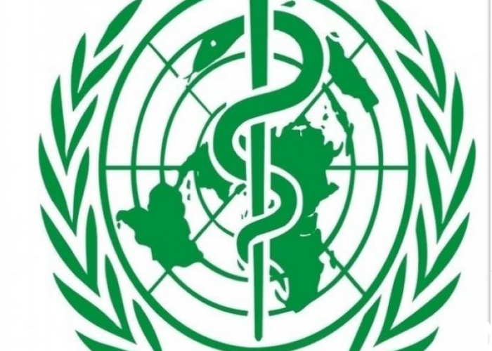 国家放开疫情跟世卫组织有关系吗（疫情期间中国与世卫组织）