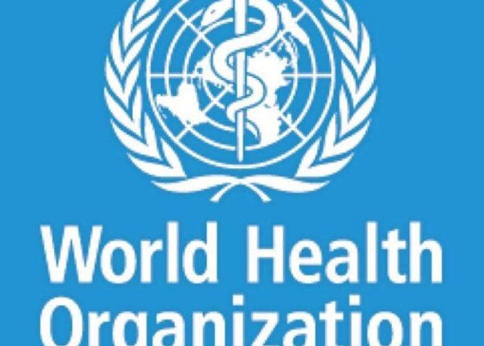 联合国世卫组织宣布疫情结束（世界卫生组织宣布疫情结束）