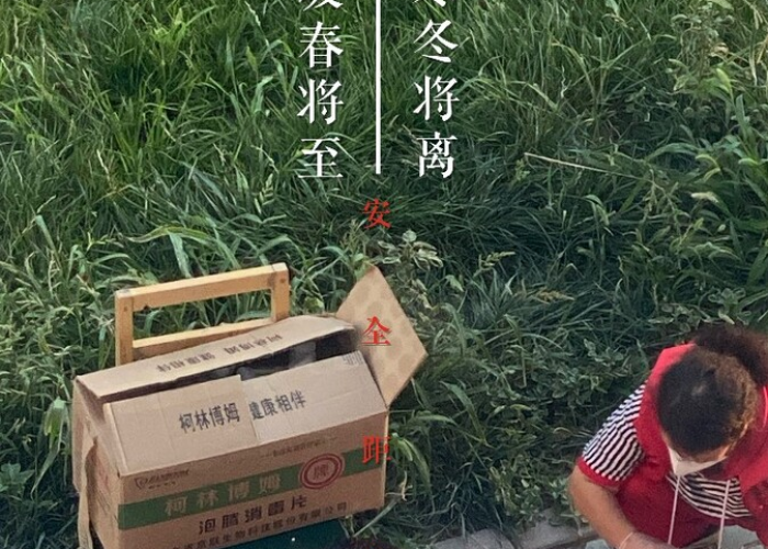 22年疫情回忆（关于2020年疫情的特别回忆）