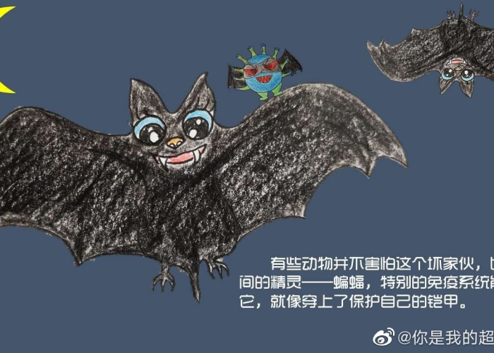 新冠疫情是因为蝙蝠吗（2020疫情是因为蝙蝠吗）