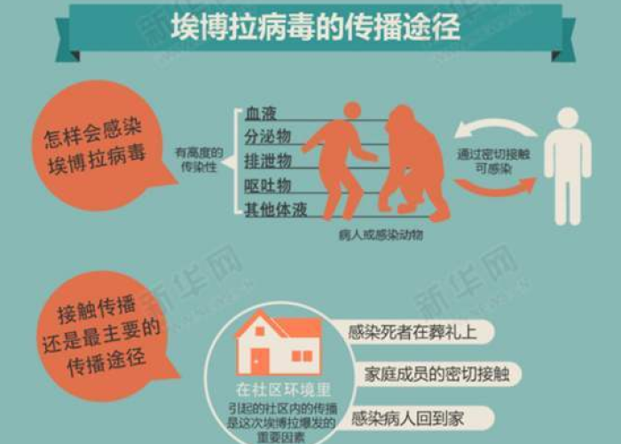 新冠疫情从哪一天开始的（新冠疫情是从哪年哪月开始的）
