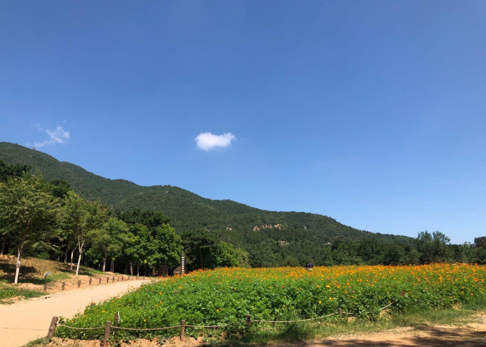 疫情停车费（疫情停车费交吗）