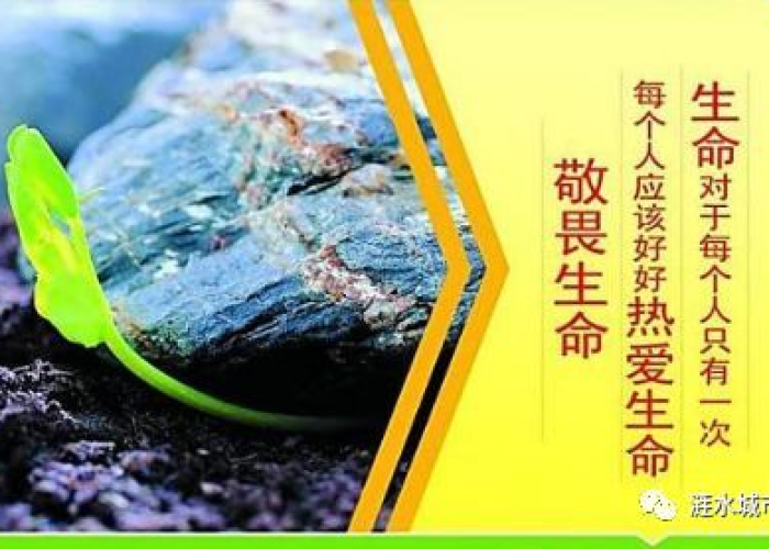 新冠疫情带给我们的思考（新冠疫情带给我们的思考感悟）