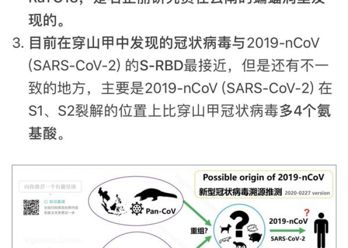 疫情的起源（疫情的发源）