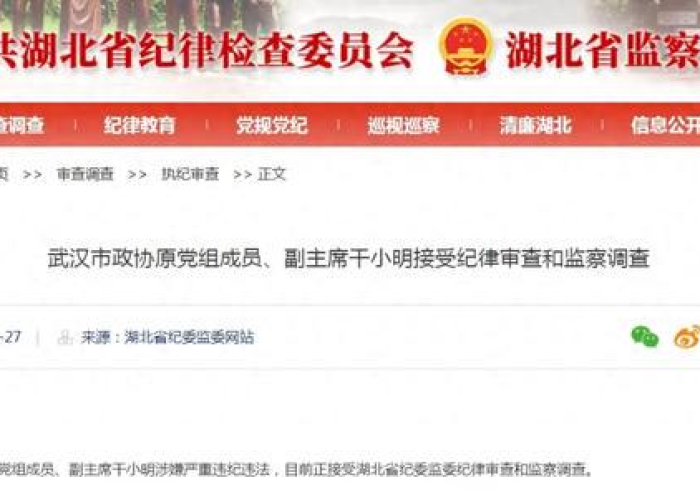 湖北省因疫情被处分的领导（湖北省疫情被处理官员名单）