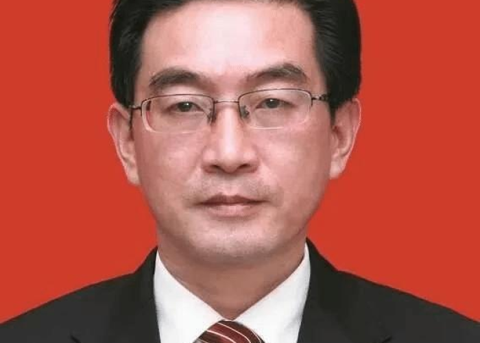湖北省因疫情被处分的领导（湖北省疫情被处理官员名单）