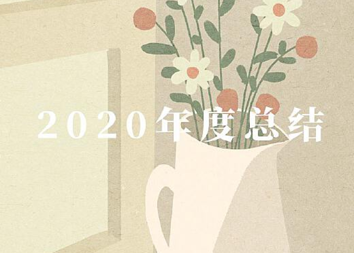 2020年总结疫情（2020年年终疫情总结）