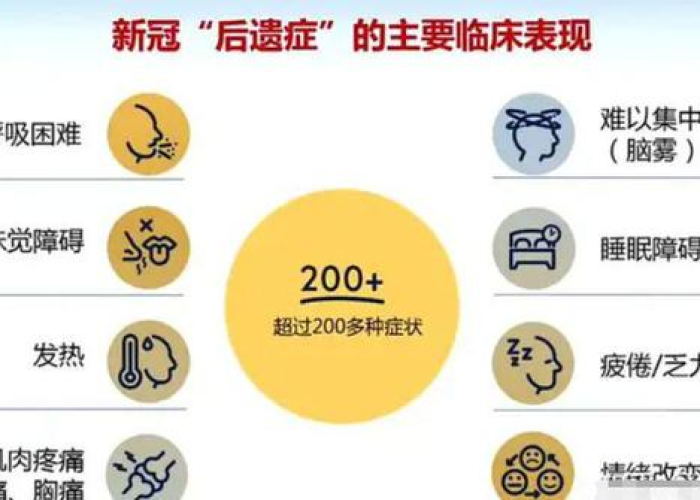 新冠疫情上历史书（新冠疫情 历史书）